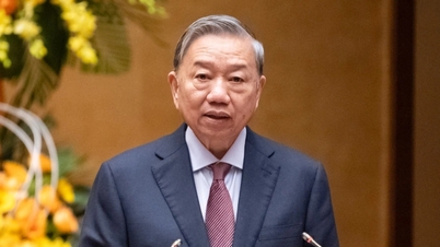 事務総長は選挙に関する5つの重要な教訓を強調し、新任期に向けて代表者たちに要求事項を提示した。