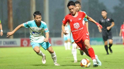TP.HCM đăng cai VCK Giải bóng đá U15 Quốc gia 2026