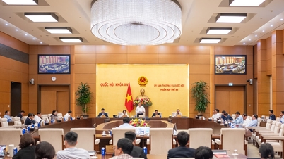 Siaran Pers Mengenai Agenda Sidang ke-56 Komite Tetap Majelis Nasional (April 2026)
