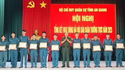 O Comando Militar Provincial de An Giang resume as atividades do Esquadrão Naval da Milícia Permanente em 2025.