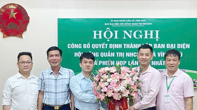 A comuna de Vinh Phu anuncia a nomeação do Comitê Representativo do Conselho de Administração do Banco de Políticas Sociais em nível comunal.