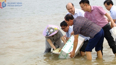 Le quartier de Tuan Chau relâche près de 220 000 espèces aquatiques.