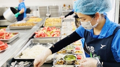Versterking van het beheer van schoollunchprogramma's na het incident waarbij 300 ton besmet varkensvlees scholen werd binnengesmokkeld.