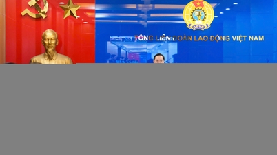 새로운 상황 속에서 노동자들의 정치적, 법적 인식을 향상시킨다.