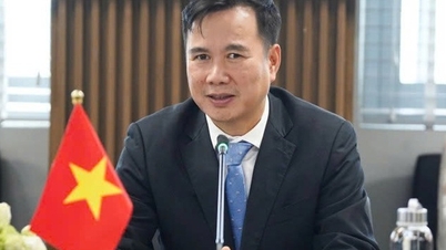 A miniszterelnök Bui The Duy urat nevezte ki a Hanoi Nemzeti Egyetem igazgatójává.