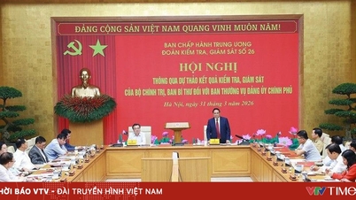Pe baza rezultatelor inspecțiilor și supravegherii efectuate de Biroul Politic și Secretariatul Comitetului Central al Partidului Comunist din Vietnam cu privire la Comitetul permanent al Comitetului Partidului Guvernamental.