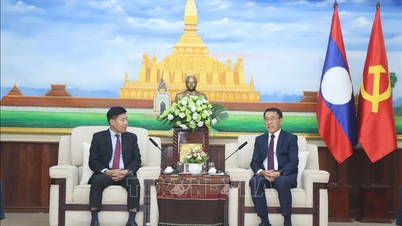 Laos siempre ha concedido gran importancia y la máxima prioridad al desarrollo de las relaciones con Vietnam.