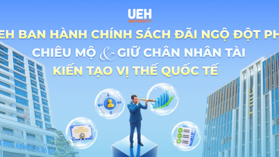 Университет UEH реализует новаторскую политику стимулирования: привлечение и удержание талантливых сотрудников, формирование международной позиции.