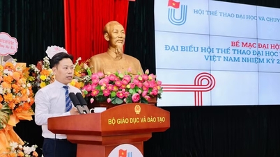 El viceministro Le Quan funge como presidente de la Asociación Universitaria y de Deportes Profesionales.