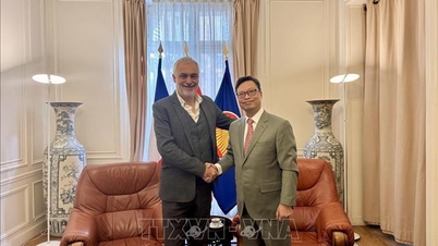 Vietnam and France promote cooperative relations through this channel.