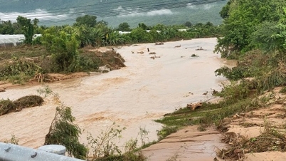 Lam Dong: Proposal to invest 880 billion VND in the construction of two water reservoirs.