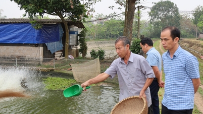 High efficiency from intensive aquaculture