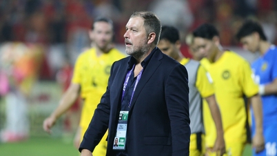 Malaysian coach says Vietnam's national team has become stronger thanks to naturalized players.