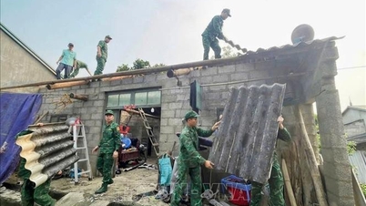 Cao Bang: Una granizada daña 743 tejados y 38 hectáreas de cultivos.