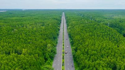 Ciudad Ho Chi Minh: Vingroup propone ampliar la carretera forestal de Can Gio a 10 carriles.