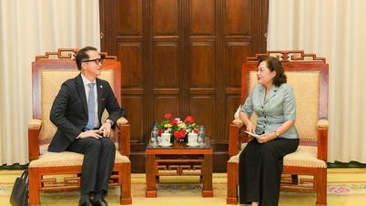 De gouverneur van de Staatsbank van Vietnam, Nguyen Thi Hong, ontvangt de directeur van het ASEAN+3 Macroeconomic Research Office (AMRO).
