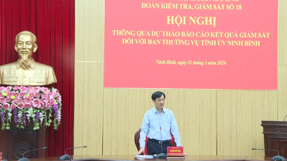 [វីដេអូ] ពង្រឹងការត្រួតពិនិត្យ ដើម្បីធានាការអនុវត្តសេចក្តីសម្រេចរបស់បក្សនៅនិញប៊ិញប្រកបដោយប្រសិទ្ធភាព