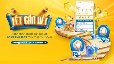 PVOneエコシステムが提供する数々の特別オファーで、温かく楽しい旧正月をお祝いしましょう。