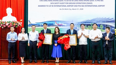 Cat Bi International Airport receives ISAGO certification.