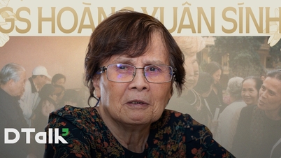 Профессор Хоанг Суан Синь: После того, как я "постучал в дверь" генерального секретаря, пути назад уже не было.
