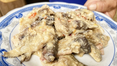 ダナン市の指導者たちは、人々の家を訪れ、発酵魚を食べるのをやめるよう助言した。