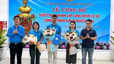Fifteen new grassroots trade unions have been established in industrial zones in Hai Phong.