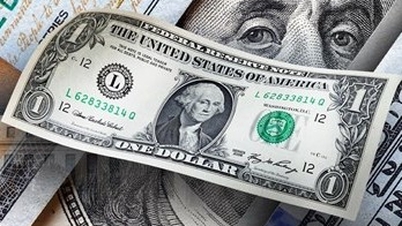 Курс доллара США сегодня (1 апреля): Доллар США немного ослабевает.