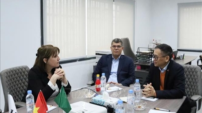 Aumentar as exportações dos principais produtos do Vietnã para a Argélia.