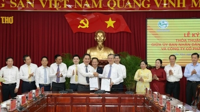 Can Tho and T&T Group sign cooperation agreement to research and invest in a series of projects.
