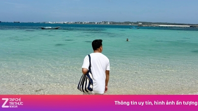Phu Quy جزیرہ ان سیاحوں کو کیوں اپنی طرف متوجہ کرتا ہے جو سال میں کئی بار واپس آنا چاہتے ہیں؟