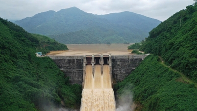 Da Nang se esfuerza por garantizar la seguridad energética - Parte final: Elaboración de una estrategia de desarrollo energético