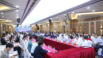 A conferência conecta empresas dos setores de serviços turísticos e de destinos com empresas de investimento estrangeiro direto na cidade de Hai Phong.