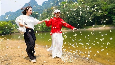 Cuc Phuong National Park is bustling with the early arrival of butterflies.