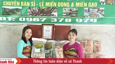 From traditional dishes to OCOP products