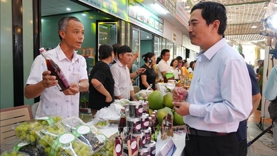 Diversifying products from the grape-growing industry to attract tourists.