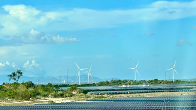 Vláda vyžaduje, aby 10 % kanceláří a domácností využívalo solární energii.