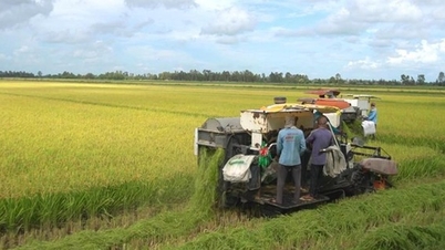 Xuất khẩu nông, lâm, thủy sản quý I đạt gần 16,7 tỷ USD