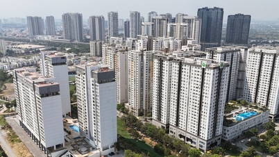 Ho Chi Minh City: Removing bottlenecks to promote the development of social housing.