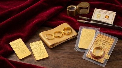 SJC gold prices surged to 178 million VND per tael.