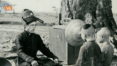 Показ 17 репрезентативних в'єтнамських фільмів на DANAFF IV
