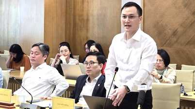 Starlink struggles to compete with fixed-line and mobile services in Vietnam.