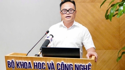 Tháng 6/2026 dự kiến đấu giá tiếp tên miền “.vn” hai ký tự