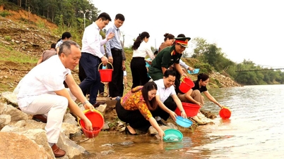 Bac Me releases hundreds of thousands of juvenile fish into the Gam River.