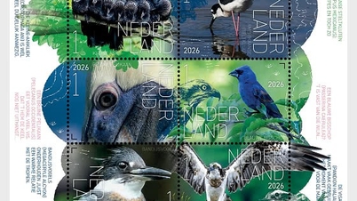 نیدرلینڈز پوسٹ نے اپنی نوعیت کے تجربے کے ڈاک ٹکٹوں کی سیریز - برڈز آن صبا جزیرے کو متعارف کروانا جاری رکھا ہوا ہے۔