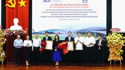 Sân bay Cát Bi và Phú Bài đạt chứng nhận an toàn khai thác mặt đất quốc tế ISAGO