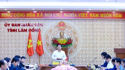 Lam Dong province proactively stabilizes the market for agricultural products and construction materials.