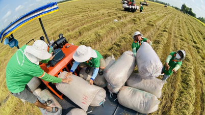 Експорт сільськогосподарської, лісової та водної продукції у першому кварталі 2026 року досяг 16,69 млрд доларів США.