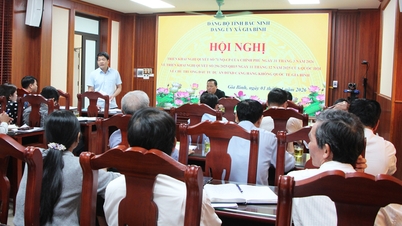 The Government has issued a Resolution implementing the National Assembly's Resolution on the investment policy for the Gia Binh International Airport project.