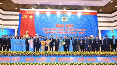 Vietnam Sanayi ve Ticaret Sendikası, sendika üyeliğinin ve taban sendikalarının geliştirilmesi için bir Yönlendirme Komitesi kurmuştur.