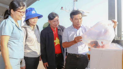 4.5 million fish fry were released to replenish aquatic resources in the Dam Bay sea area.